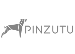 Pinzutu Films